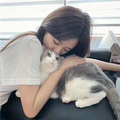 狙杀狗仔队